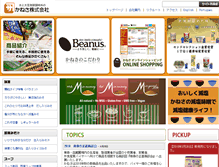 Tablet Screenshot of kanesa.co.jp